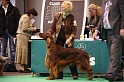 Crufts2011 829